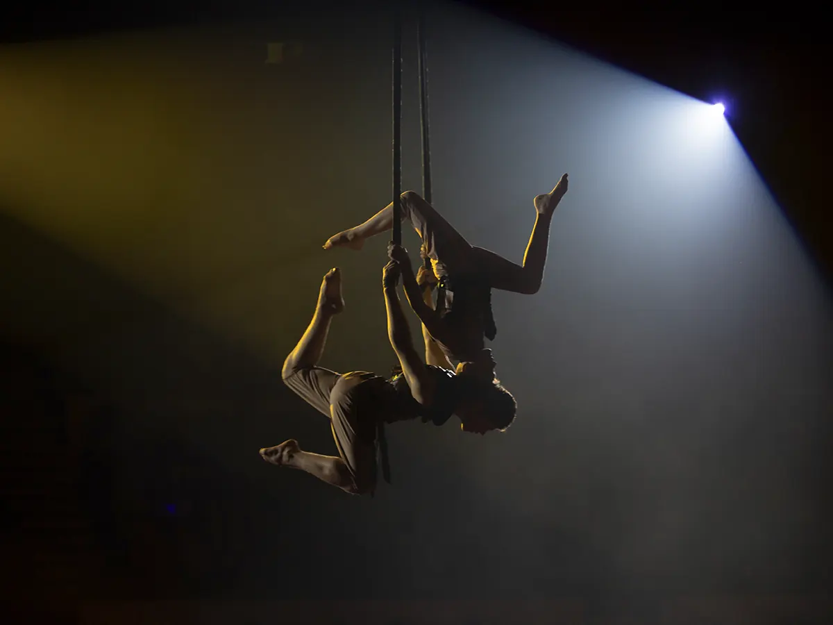 Espectáculo de Gran Circo Monumental para niños y colegios en Valencia